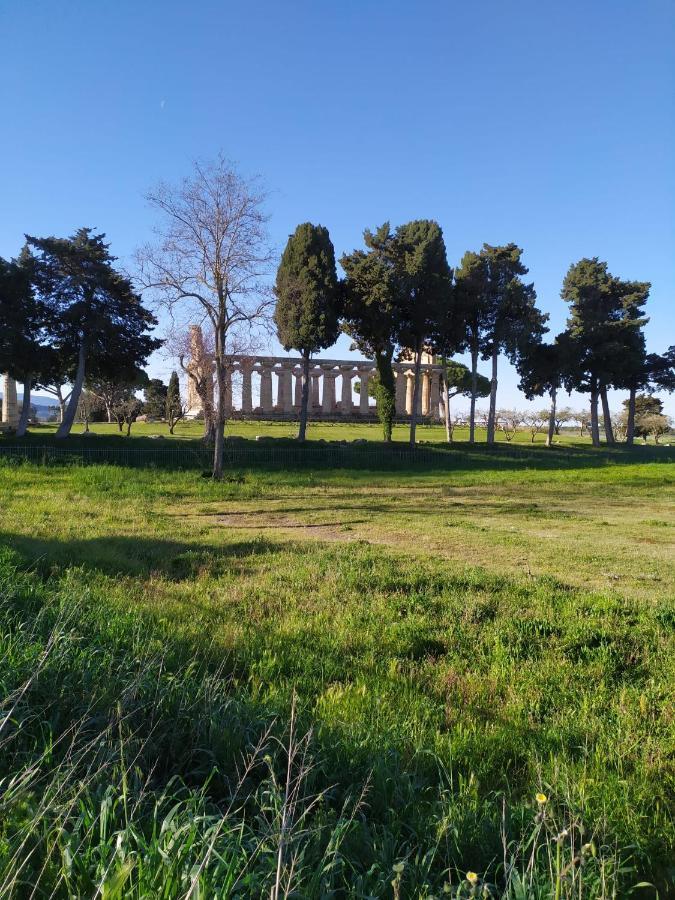 Goethe Paestum House Lägenhet Exteriör bild